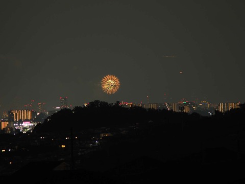 20220827なにわ淀川花火 (103)