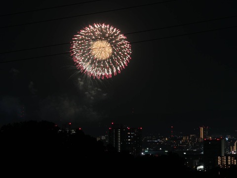20240815くらわんか花火 (7)