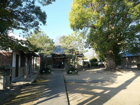 20250102郡家素戔嗚尊神社 (16)