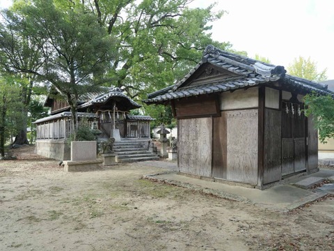 20241104淀城 (30)