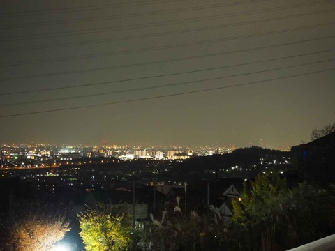 20211121夜景 (4)