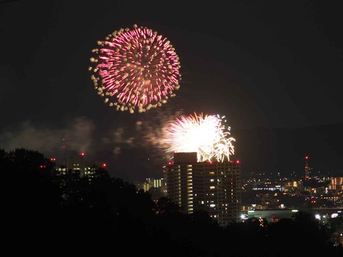 20230917水都くらわんか (8)