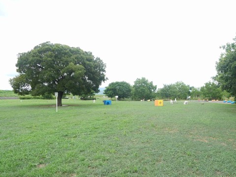 20260808大塚 (15)