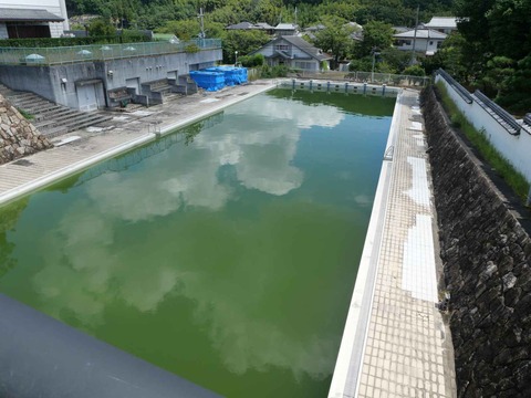 20240818園田城 (30)