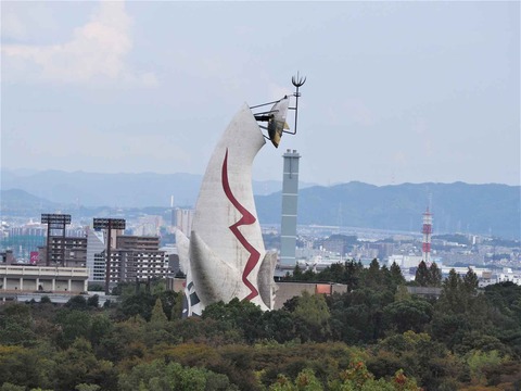 20221022万博記念公園 (62)