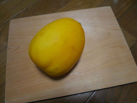 20240629マクワウリ (1)