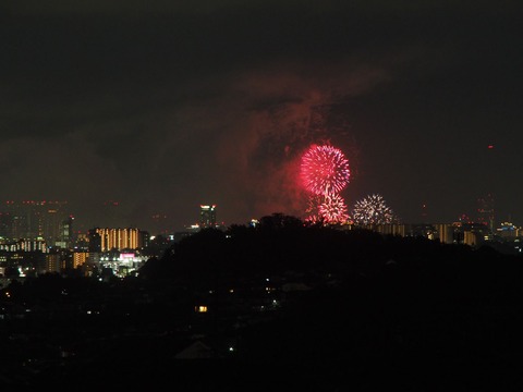 20230805淀川花火 (6)