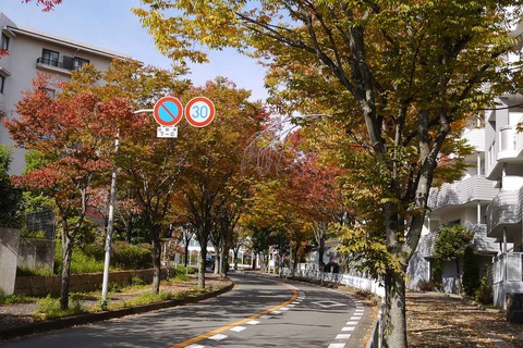 20201101koyo3