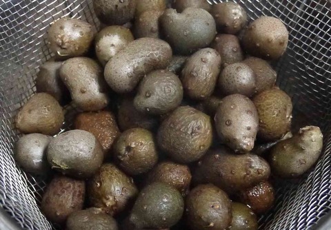 mukago4