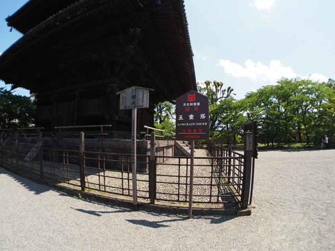 20230616東寺 (24)
