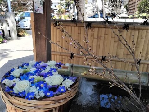 20230312野見神社 (2)