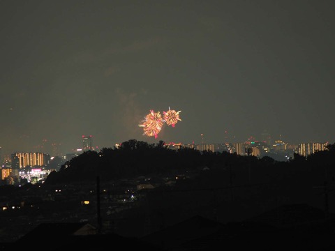 20220827なにわ淀川花火 (31)