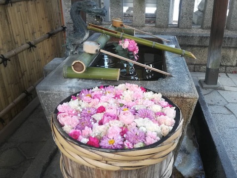 20231022野見神社 (1)a