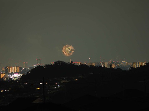 20220827なにわ淀川花火 (94)