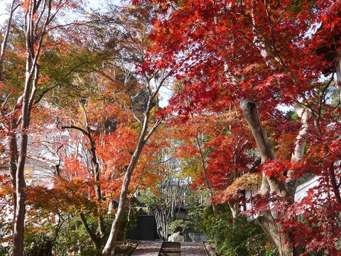kabuzan20181127_7