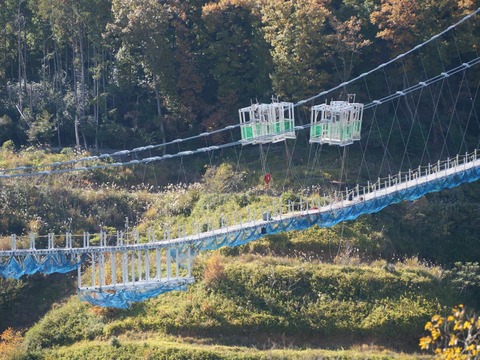 20241201吊り橋 (7)