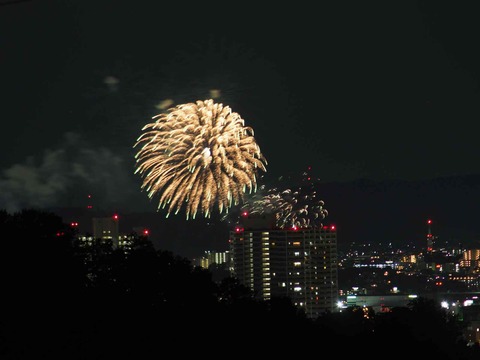 20230917水都くらわんか (3)