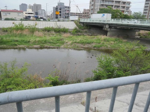 20260422高槻橋