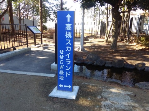 t_skyland