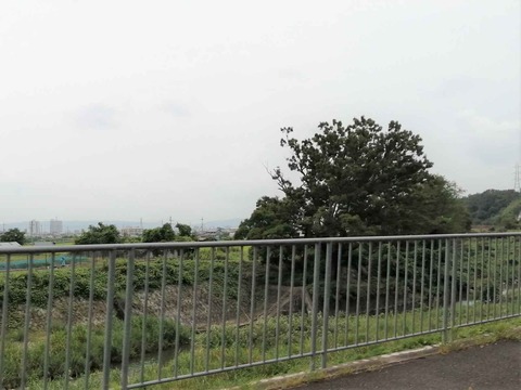 20210811kunugi (2)