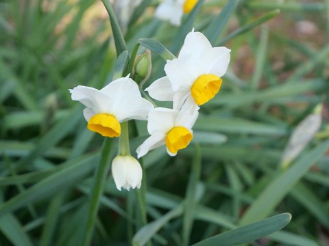 20250126上宮天満宮 (25)