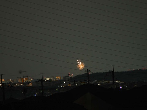20220827なにわ淀川花火 (19)