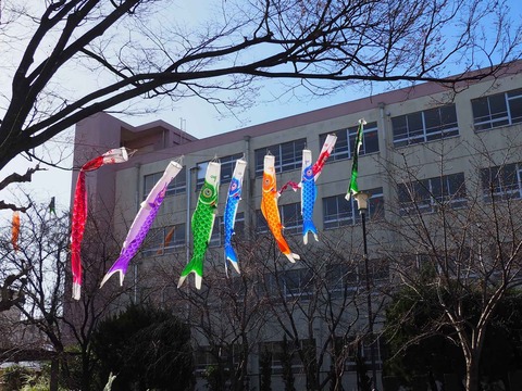 20240327玉川小学校 (11)