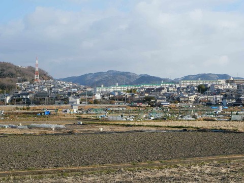 20250218ポンポン山 (2)