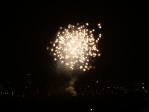 20240808辨天花火 (57)