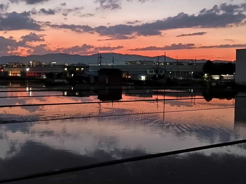 20250605夕焼け (3)