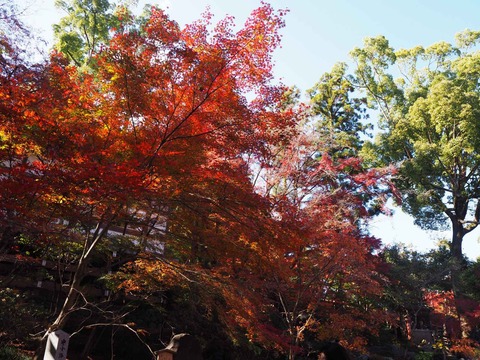20211123長岡天神 (3)