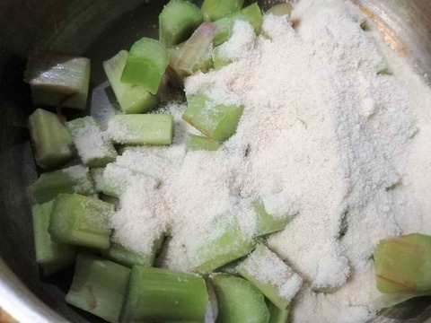 20230706ルバーブ (3)