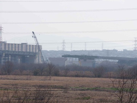 20230312ヨシ焼き (11)