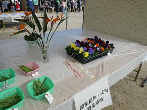 20241117農林業祭 (23)
