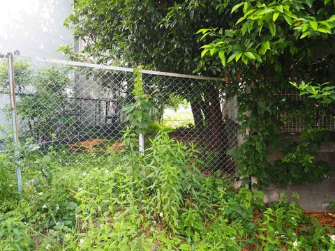 20240518吹田線路あと (11)