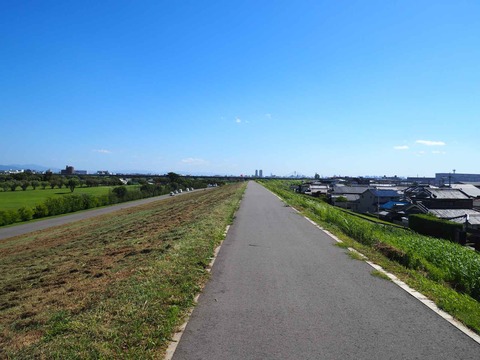 20230603淀川堤防草刈り (3)