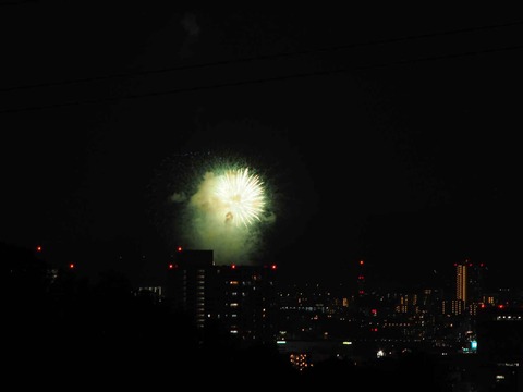 20220904くらわんか花火 (7)