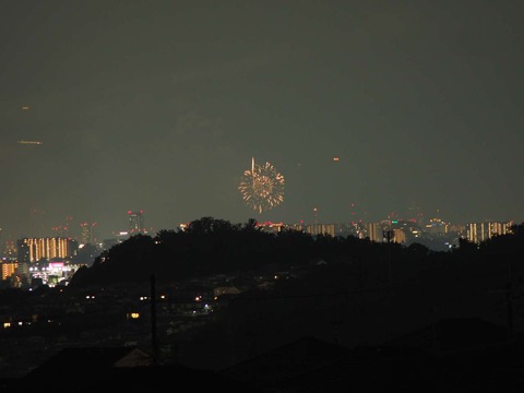 20220827なにわ淀川花火 (50)