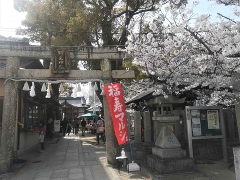 20220402野見神社 (11)