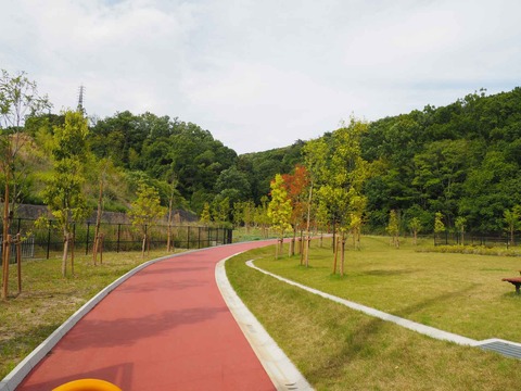 20230528金龍寺川公園 (2)