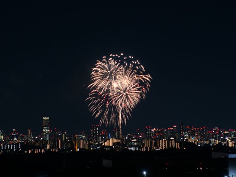 20240808辨天花火 (21)