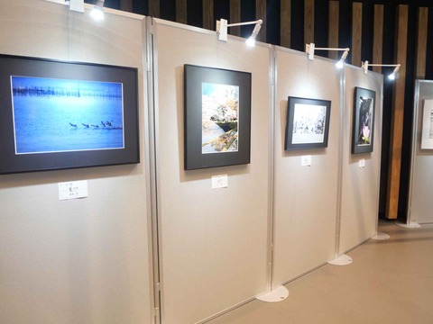 20240921高槻市美術展 (38)