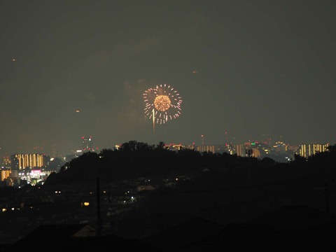 20220827なにわ淀川花火 (27)