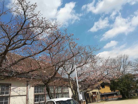 sk_hara_20190404_8