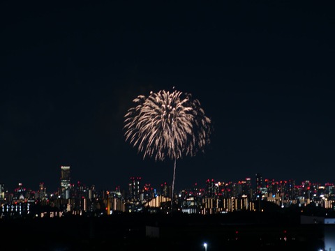 20240808辨天花火 (24)