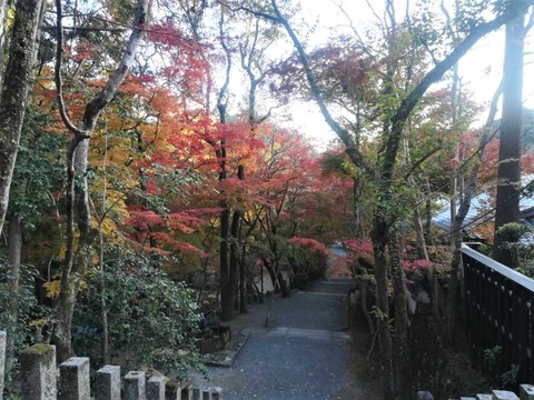 20211117神峯山寺 (4)