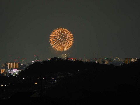 20220827なにわ淀川花火 (117)