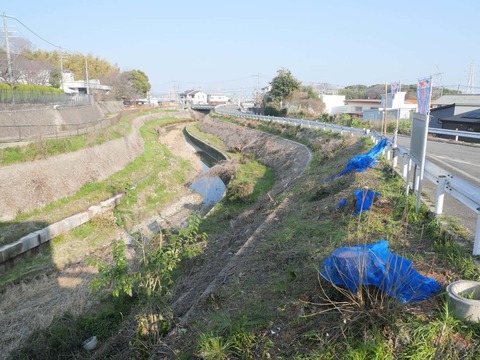 20260320山手町 (4)