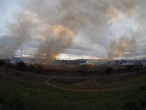 20240218ヨシ焼き (81)