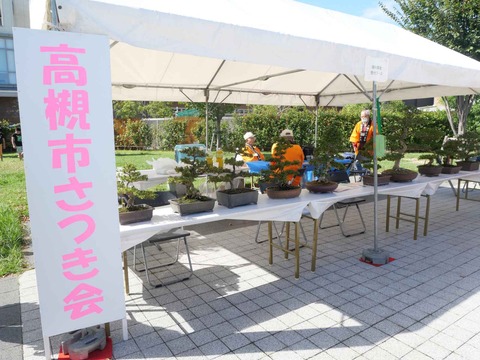 20241020都市緑化フェア (21)